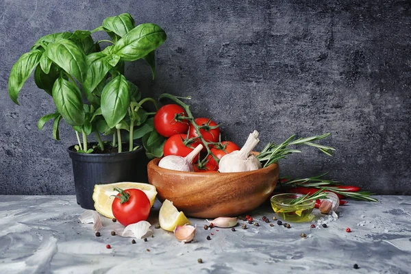 pot fesleğen ve baharat