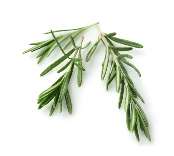 Herbes de romarin frais — Photo