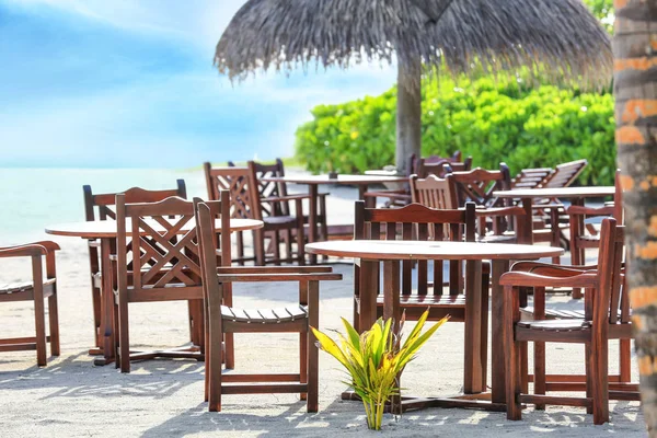 Tropikal Resort'ta plaj Cafe topraklarının