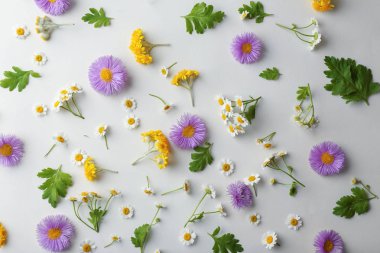 Dağınık alan çiçek 