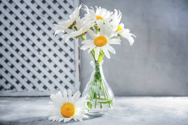 güzel chamomiles buket