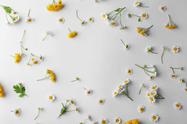 Scattered chamomile flowers on light background