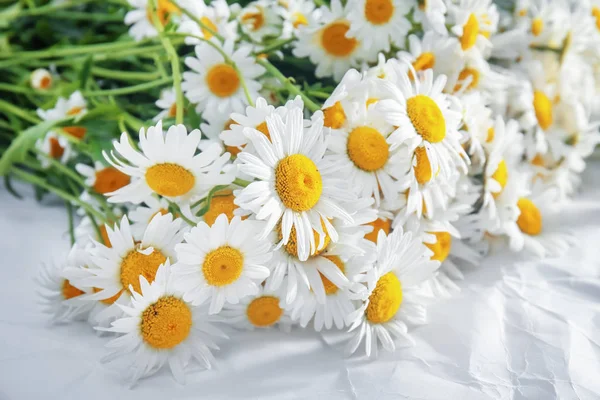 Bouquet of beautiful chamomiles — Stock Photo, Image