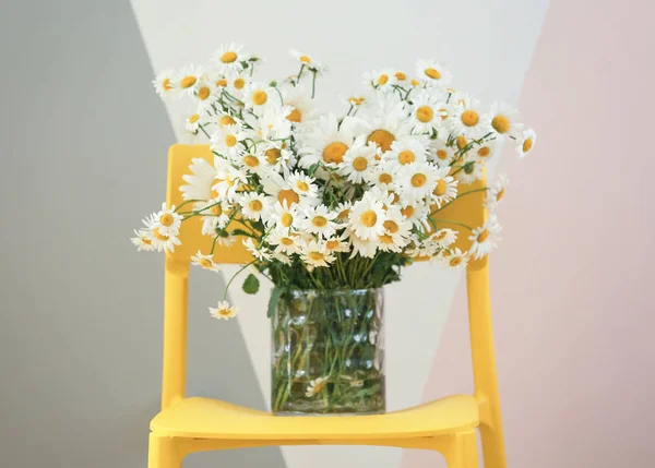Bouquet of beautiful chamomiles — Stock Photo, Image
