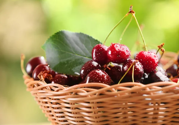 Cesta de vime com cereja fresca — Fotografia de Stock