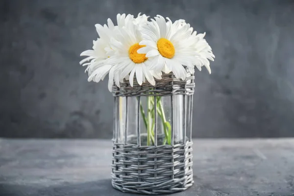 Bouquet di belle camomille — Foto Stock
