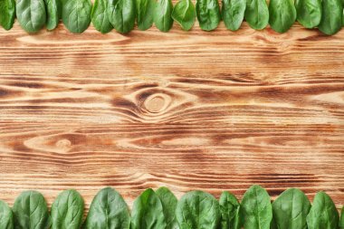 taze ıspanak yaprakları