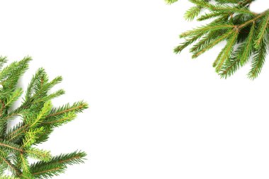 Beyaz arka plan üzerinde çam dalları çerçevesinden Noel