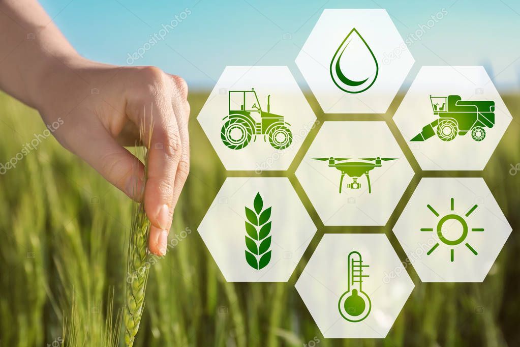 Concept of smart agriculture and modern technology