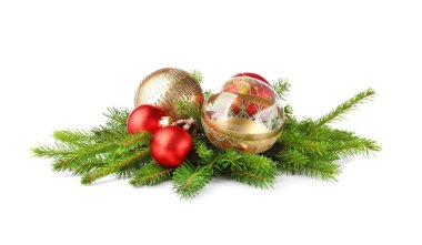 çam ağacı dalları