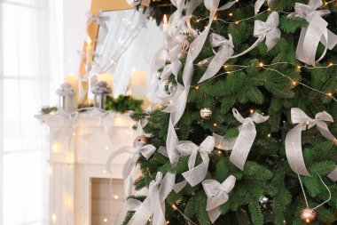 güzel bir köknar ağacı