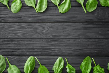 taze ıspanak yaprakları