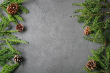 Çam dalları gri arka plan üzerinde koniler ile çerçevesinden Noel