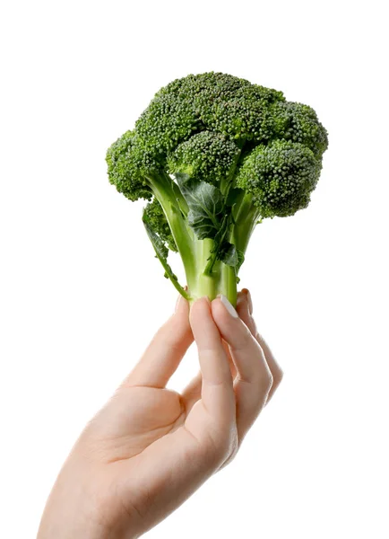 Färsk broccoli i hand — Stockfoto