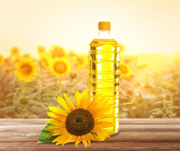 Botella con aceite de cocina sobre mesa de madera contra campo de girasol —  Fotos de Stock