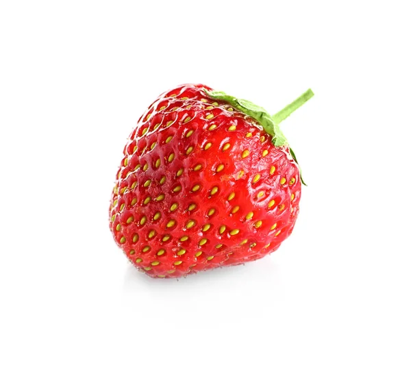 Mogen färsk jordgubbe — Stockfoto