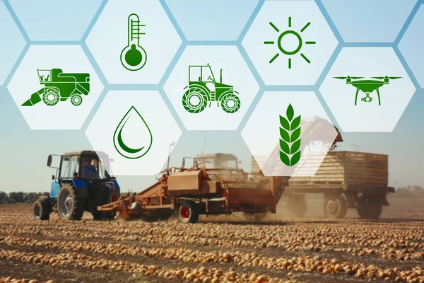 Concept d'agriculture intelligente et de technologie moderne — Photo