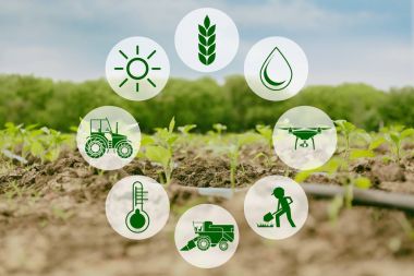 Akıllı tarım ve modern teknoloji kavramı