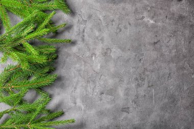 çam ağacı dalları