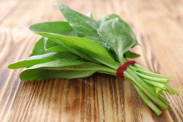 Grappolo di spinaci freschi — Foto Stock