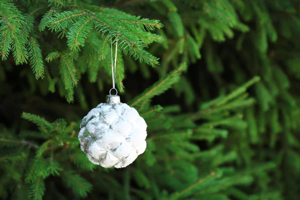 Bola de Navidad colgando en rama de abeto —  Fotos de Stock