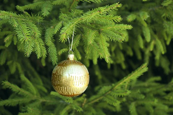 Kerst bal opknoping op de vertakking van de beslissingsstructuur van de spar — Stockfoto