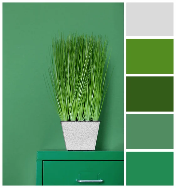 Palette with green color — Stock Photo, Image