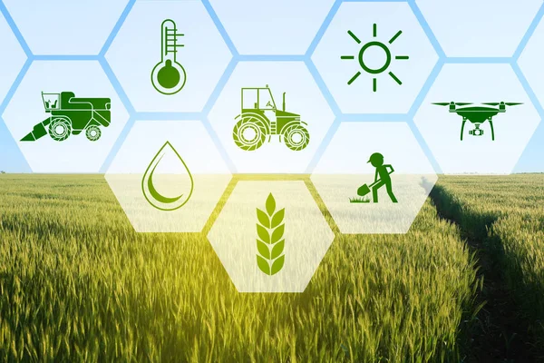 Begreppet smart jordbruk och modern teknik — Stockfoto