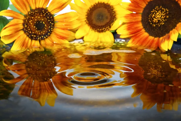 Speiseöl und schöne Sonnenblumen, Nahaufnahme — Stockfoto