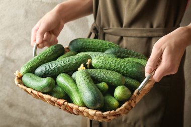 Olgun taze salatalık 