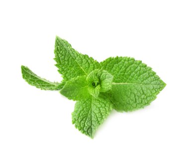 Beyaz arkaplanda taze nane