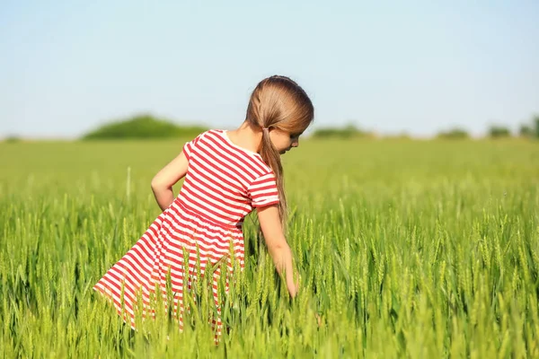 Little girl in green field — Stock Photo, Image