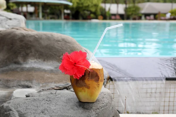 Świeży kokos koktajl w pobliżu basenu w ośrodku — Zdjęcie stockowe