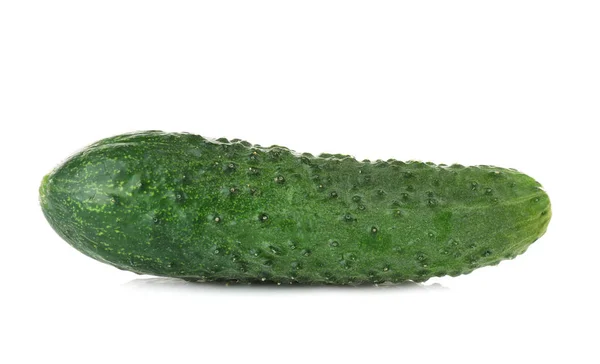 Pepino fresco em branco — Fotografia de Stock