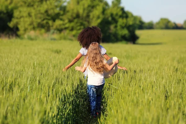Bonnes petites filles dans le champ vert — Photo