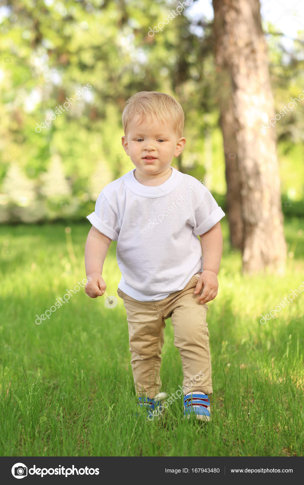 Cute baby boy walking in green park on sunny day — Stock Photo