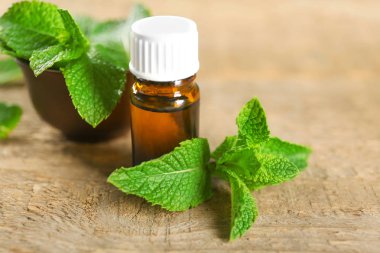 Şişe esans ve nane ahşap tablo