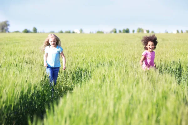 Glada små flickor i grönt fält — Stockfoto