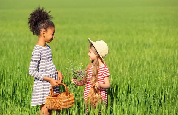 Gelukkig weinig meisjes met rieten manden in groene veld — Stockfoto