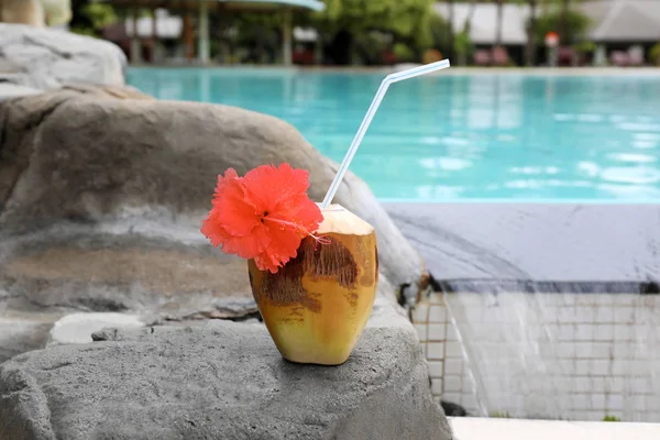 Färsk kokosnöt cocktail nära pool — Stockfoto