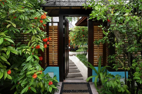 Hermoso jardín en el complejo tropical — Foto de Stock