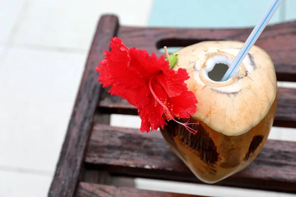 Świeży kokos koktajl w pobliżu basenu — Zdjęcie stockowe