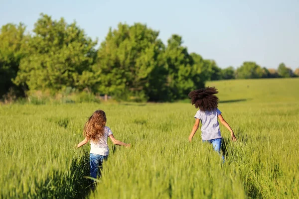 Glückliche kleine Mädchen im grünen Feld — Stockfoto