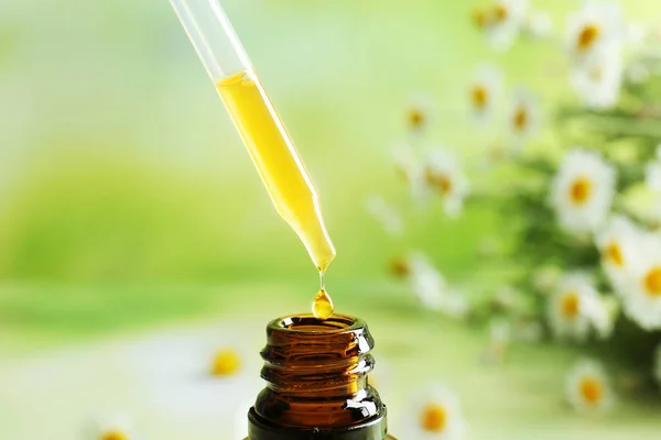 Heřmánkový esenciální olej — Stock fotografie