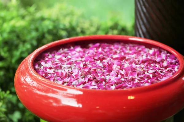 Bowl with water and petals — Stock Photo, Image