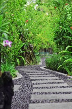 Güzel tropik bahçe sokakta