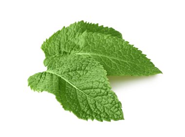 Taze nane yaprakları