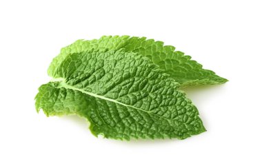 Taze nane yaprakları