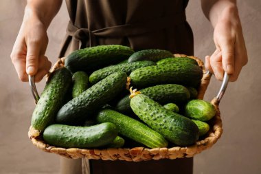 Olgun taze salatalık 