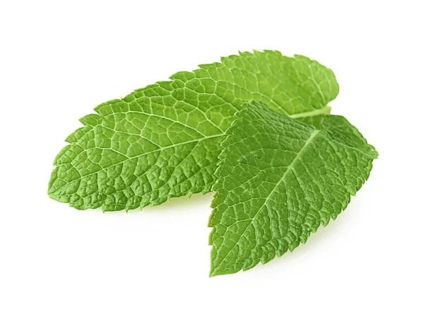 Foglie di menta fresca — Foto Stock